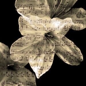 Meet your Posher, Maddie !!